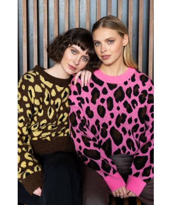 FOUR ROSES bruine pull met leopardmotief