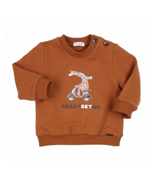 GYMP sweater ready set go